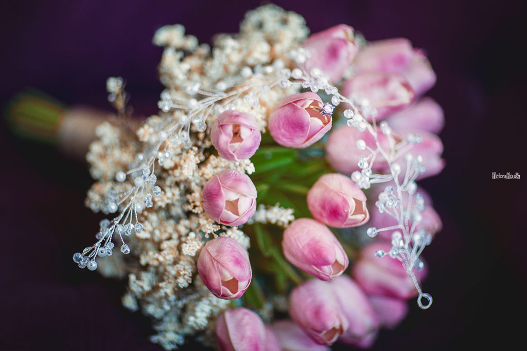 Didar Hakan Ormanın Kalbinde Bir Masal Fotorafci.com / Trabzon – Zehra Şılbır | Profesyonel Fotoğrafçı Hizmetleri