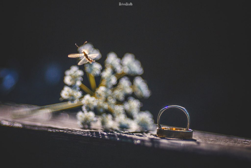 Elif Salman Mutluluğun Dansı Fotorafci.com / Trabzon – Zehra Şılbır | Profesyonel Fotoğrafçı Hizmetleri